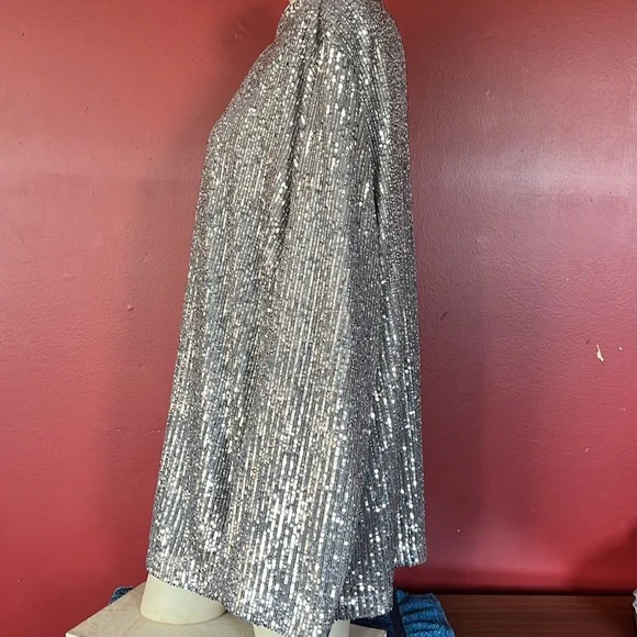 BNWOT Soft surroundings silver sparkly, long sleeve, formal lined top - Picture 5 of 16